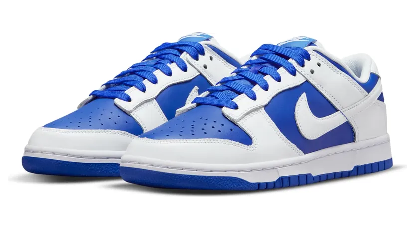 nike-dunk DD1391-401