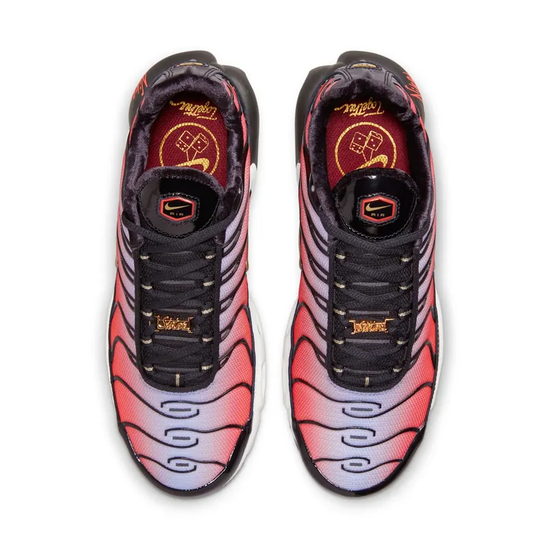 Nike Air Max Plus Sisterhood (W) (DO6115-500)