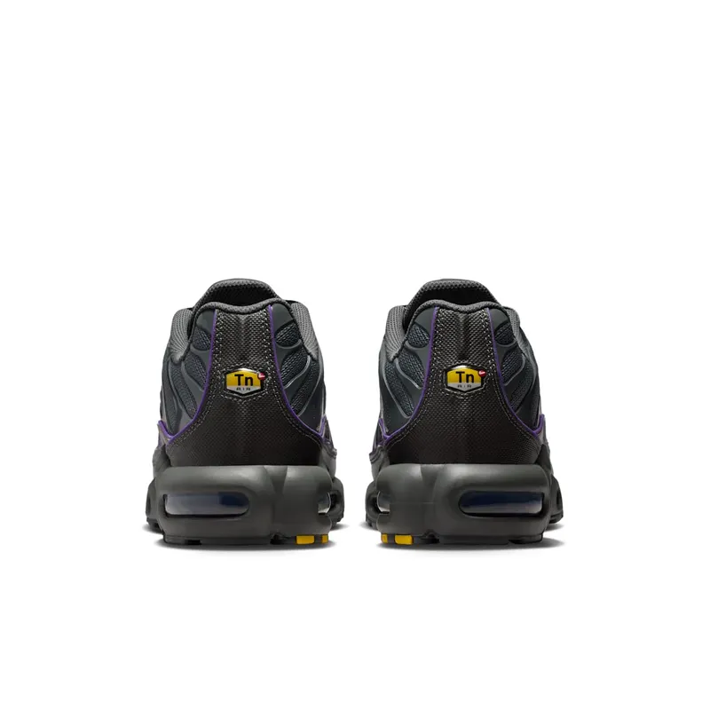 Nike Air Max Plus OG Iron Grey Wild Grape (HV8066-001)