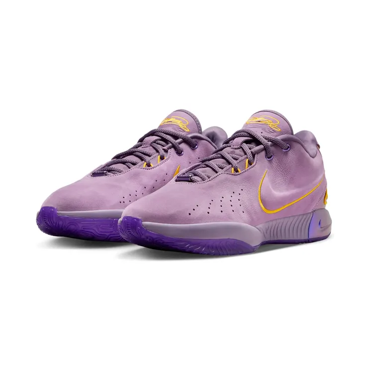 nike-lebron FV2345-500