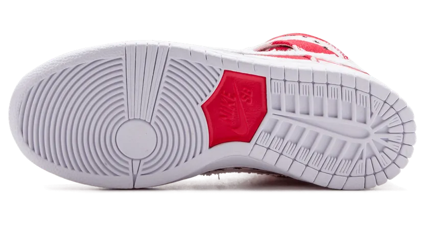 nike-dunk-sb 305050-610