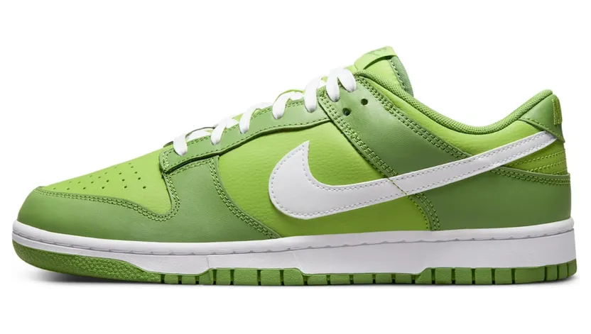 nike-dunk DJ6188-300