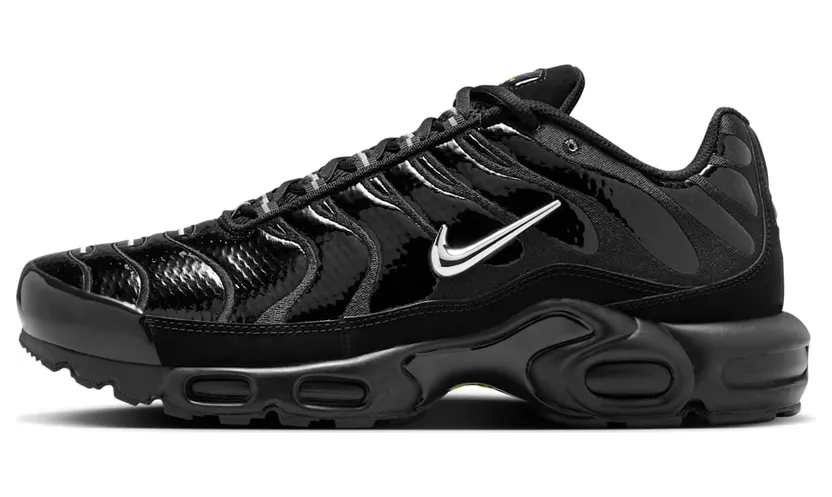 Nike Air Max Plus Black Chrome (FJ2591-001)