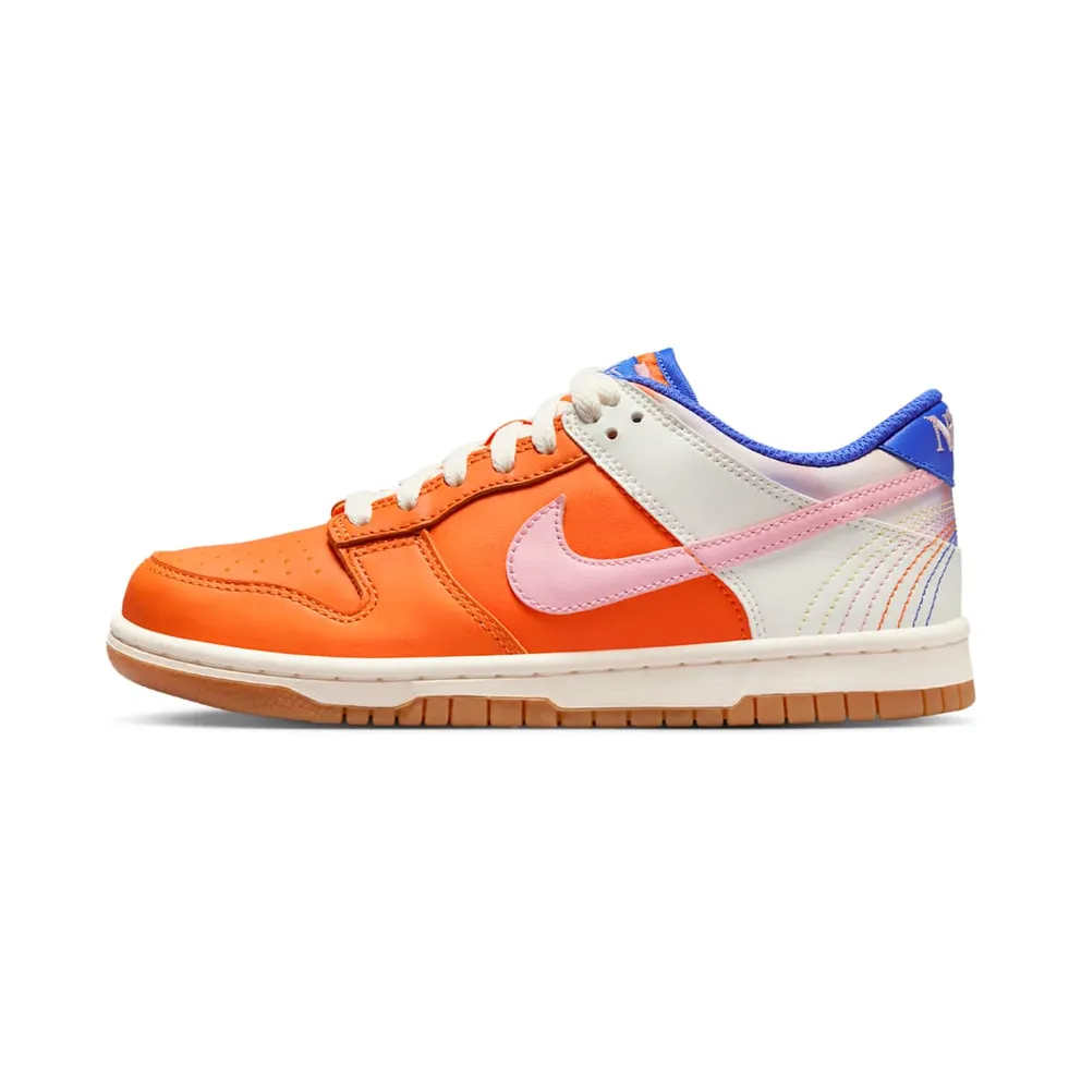 Nike Dunk Low GS “Everything You Need” (FN0600-801)