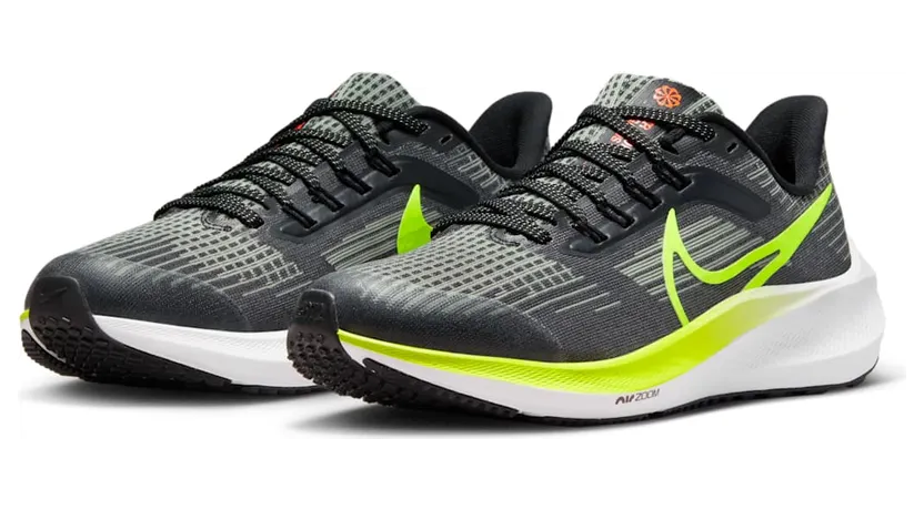 nike-air-pegasus DM4015-002