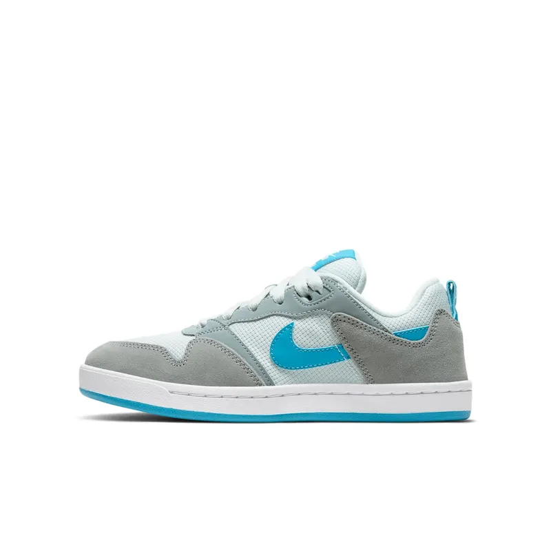 Nike Alleyoop SB Particle Grey Blue (CJ0883-002)