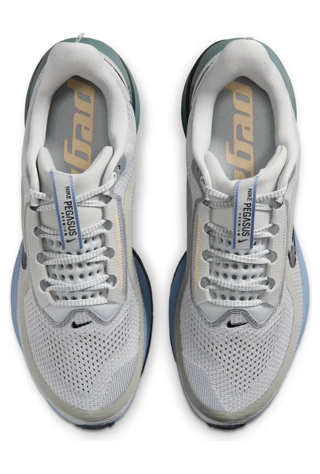 nike-air-pegasus HQ2592-017