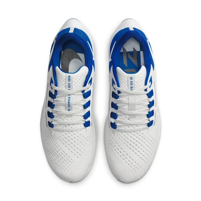 Nike Air Zoom Pegasus 38 “Kentucky” (DJ0830-001)