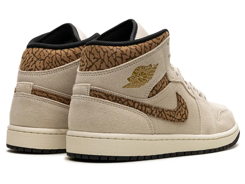 air-jordan-1 DZ4129-102