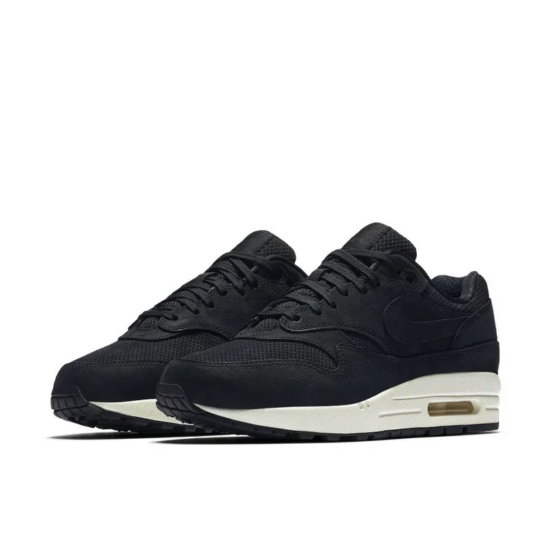 Nike Air Max 1 Pinnacle Black (W) Black/Black-Sail (839608-005)