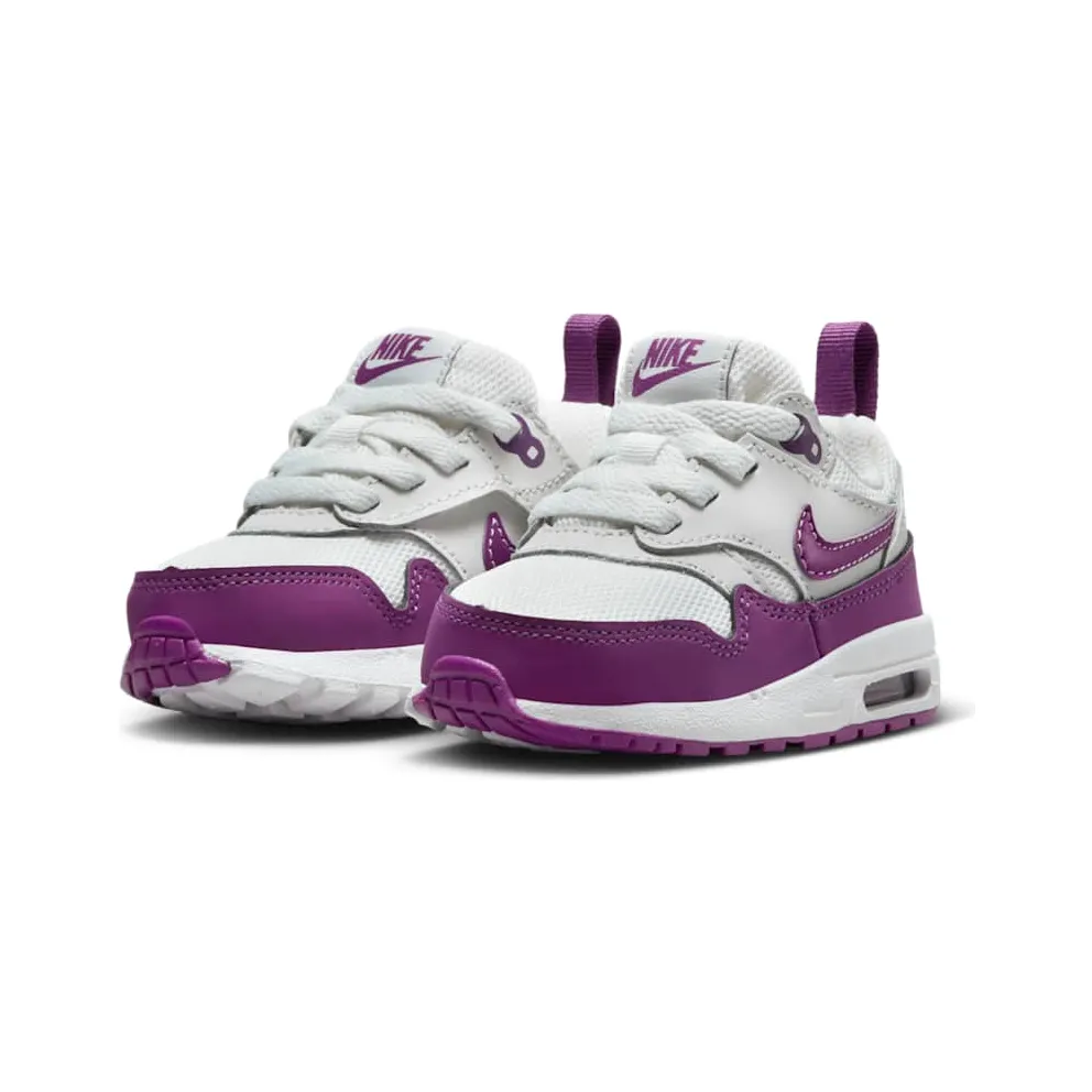 Nike Air Max 1 Summit White/White/Viotech (DZ3309-109)
