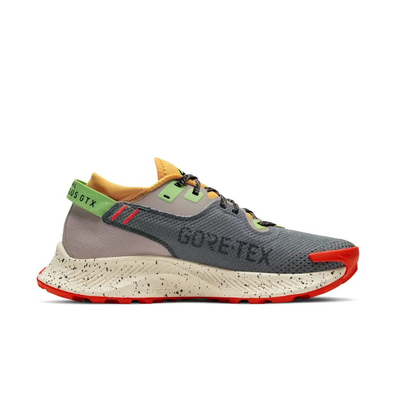 Nike Pegasus Trail 2 GORE-TEX Trail Running Black (CU2018-002)