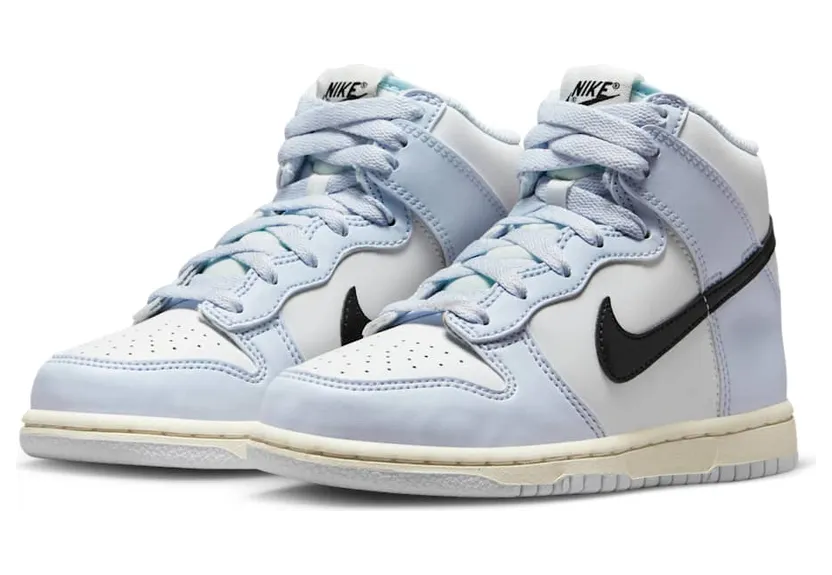 nike-dunk DD2314-110