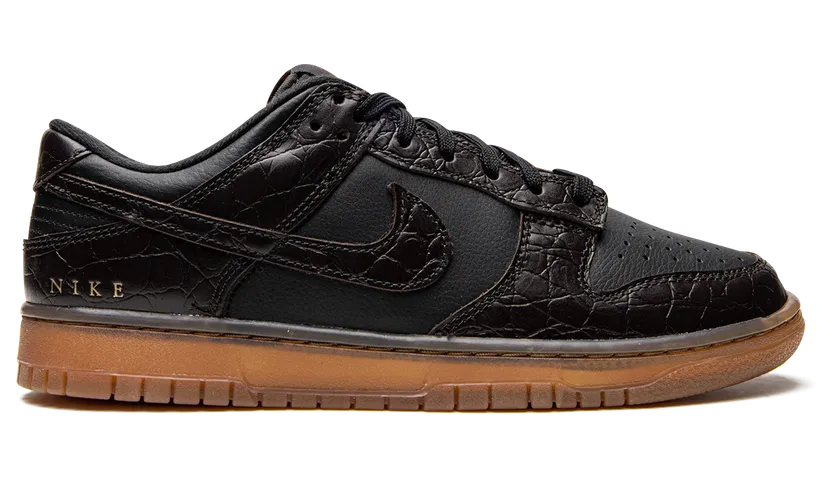 nike-dunk DV1024-010