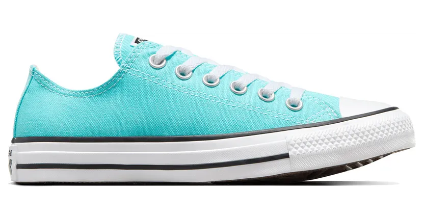 Converse Chuck Taylor Blauw (A06566C)