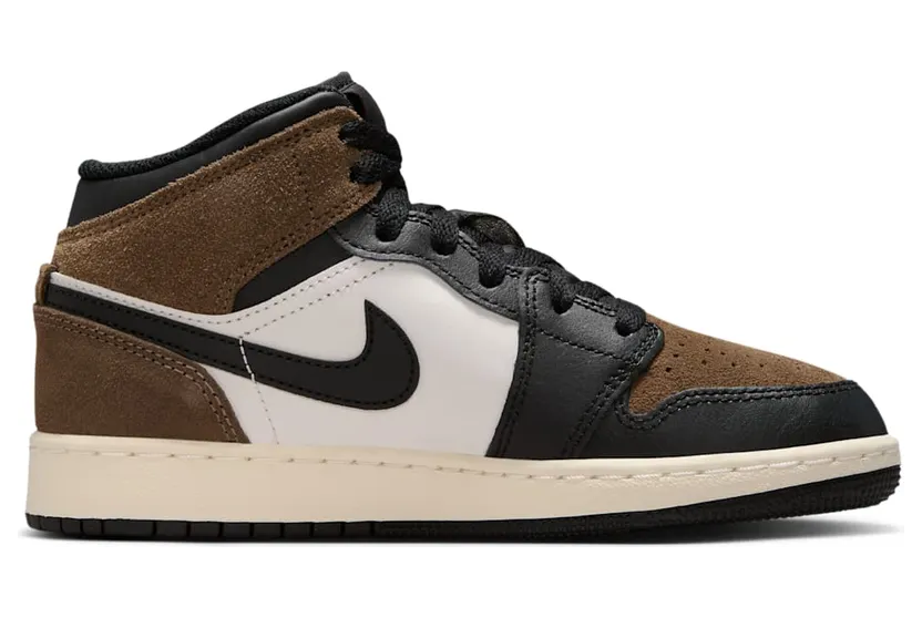 air-jordan-1 DQ8423-007