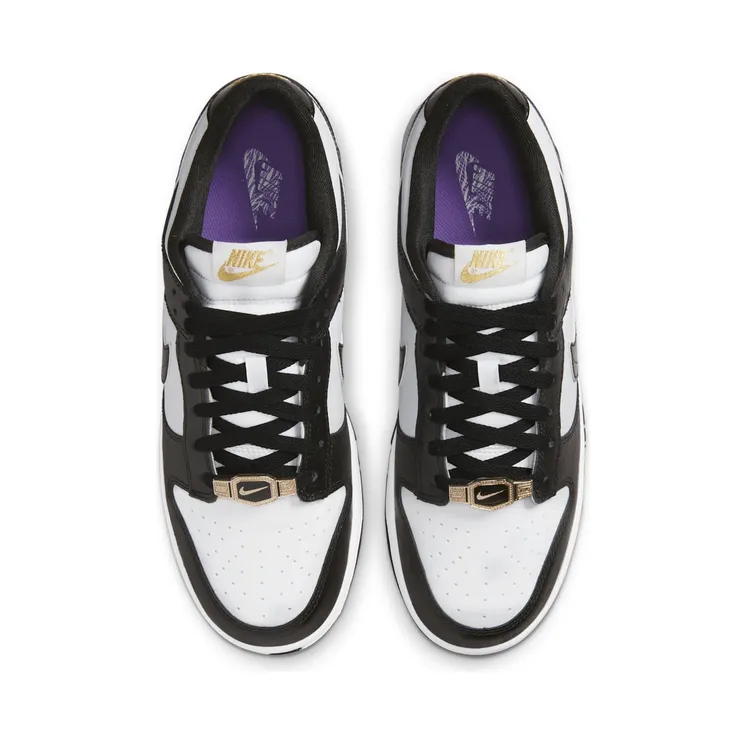 nike-dunk DR9511-100