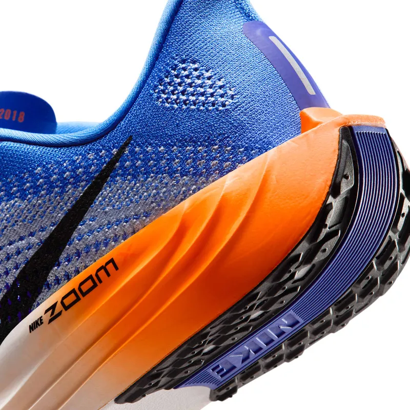Nike Pegasus Crystal Blue/Hydrogen Blue/Lapis/Off Noir (FQ7262-403)