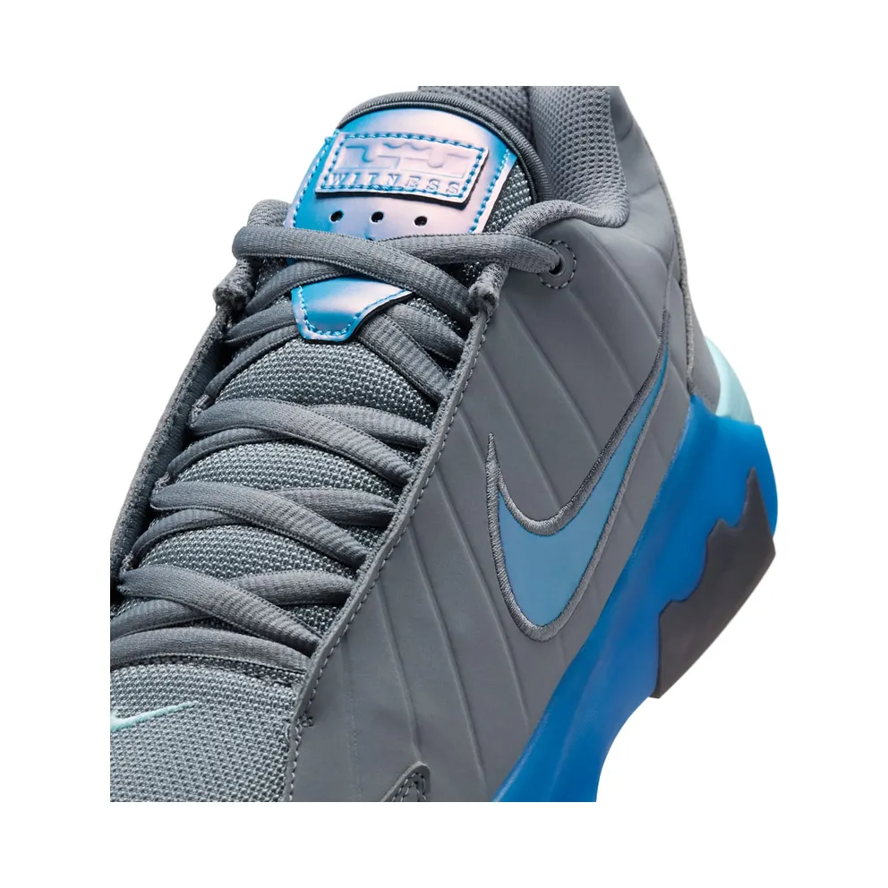 Jordan Nike LeBron Cool Grey/Glacier Ice/Glacier Ice/Aurora Blue (HQ8034-005)
