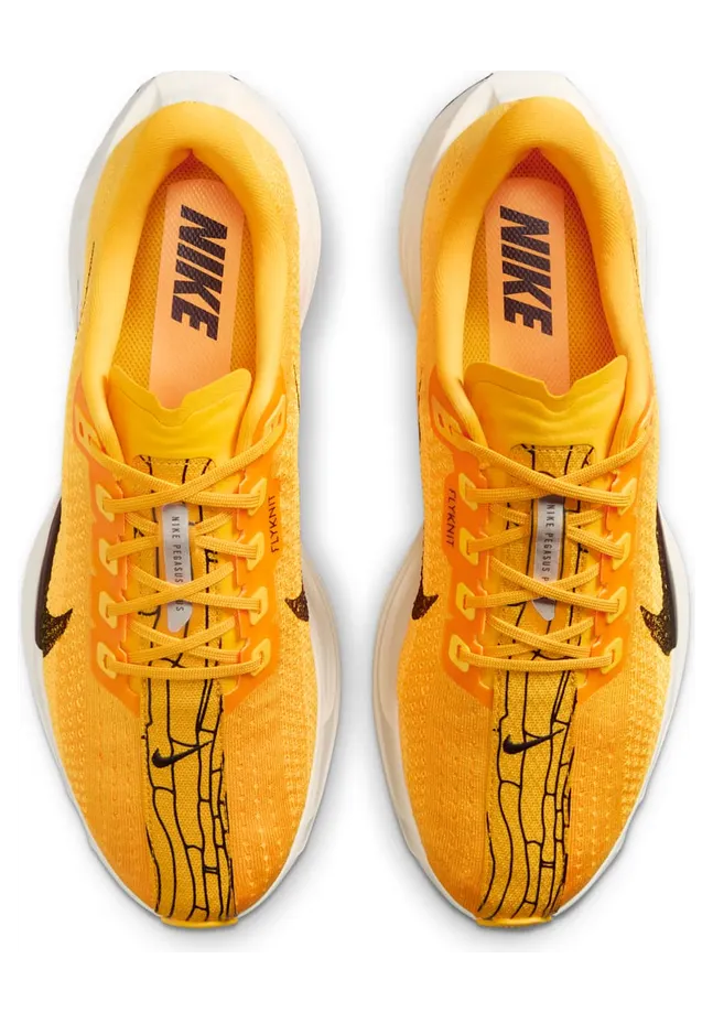 nike-air-pegasus IH3258-700