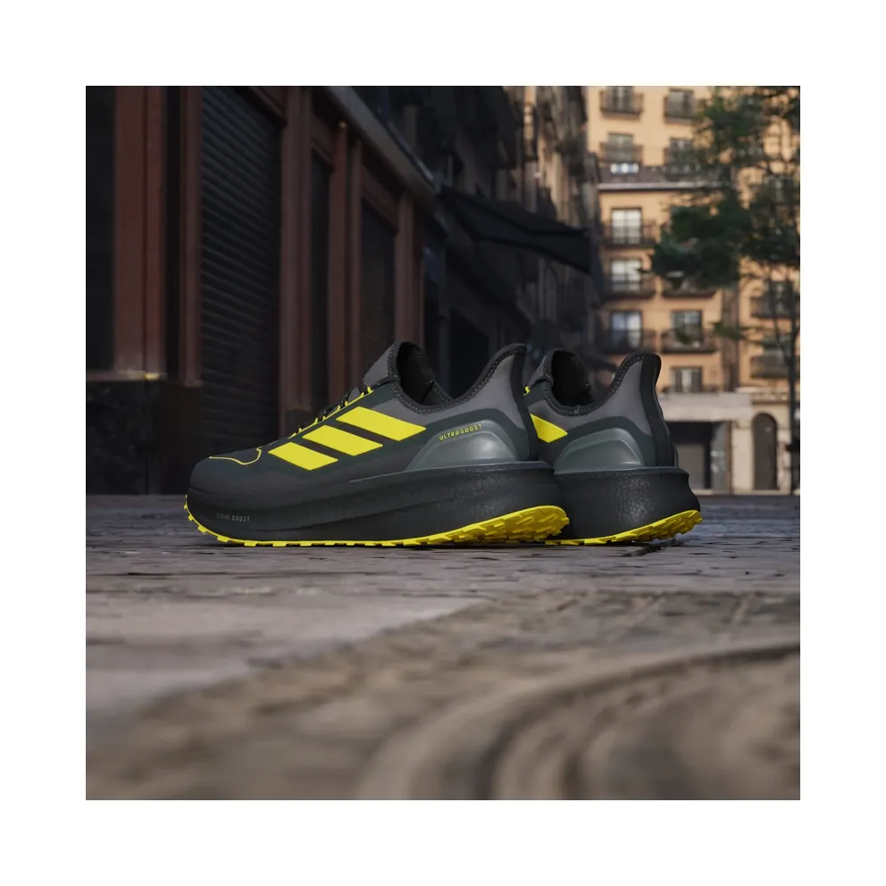 Adidas Ultraboost 5 GTX Carbon / Core Black / Grey Four (JI3242)