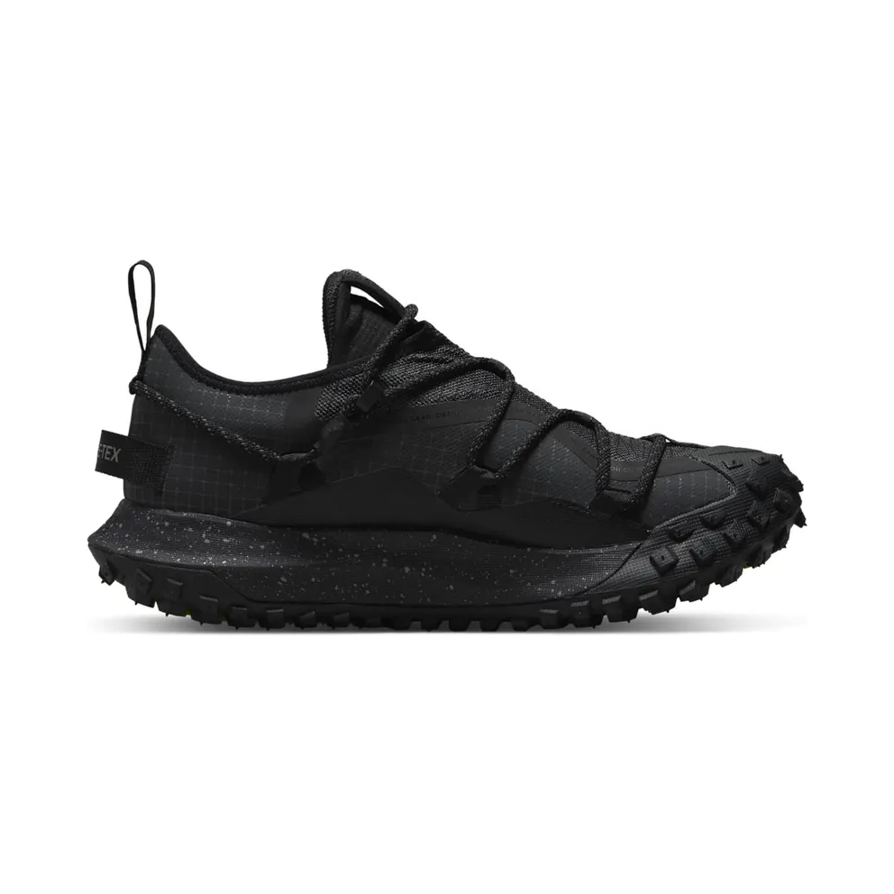Nike ACG Mountain Fly Low GORE-TEX SE Grey (DD2861-002)