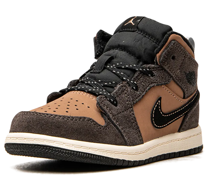 air-jordan-1 DC7250-200