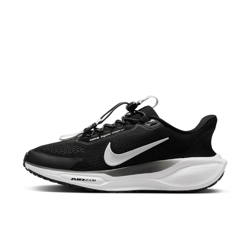 Nike Air Zoom Pegasus 41 EasyOn Black Anthracite Photon Dust White (FQ7844-002)