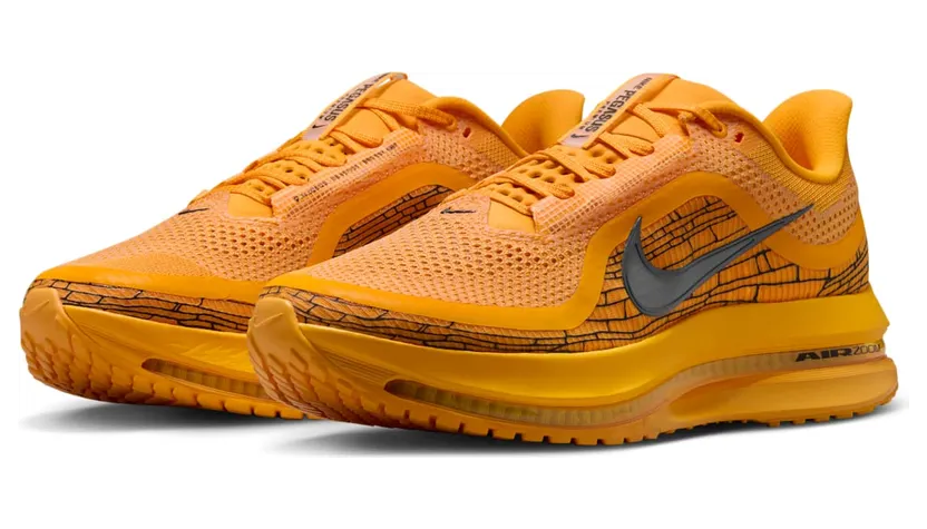 nike-air-pegasus IH3256-700