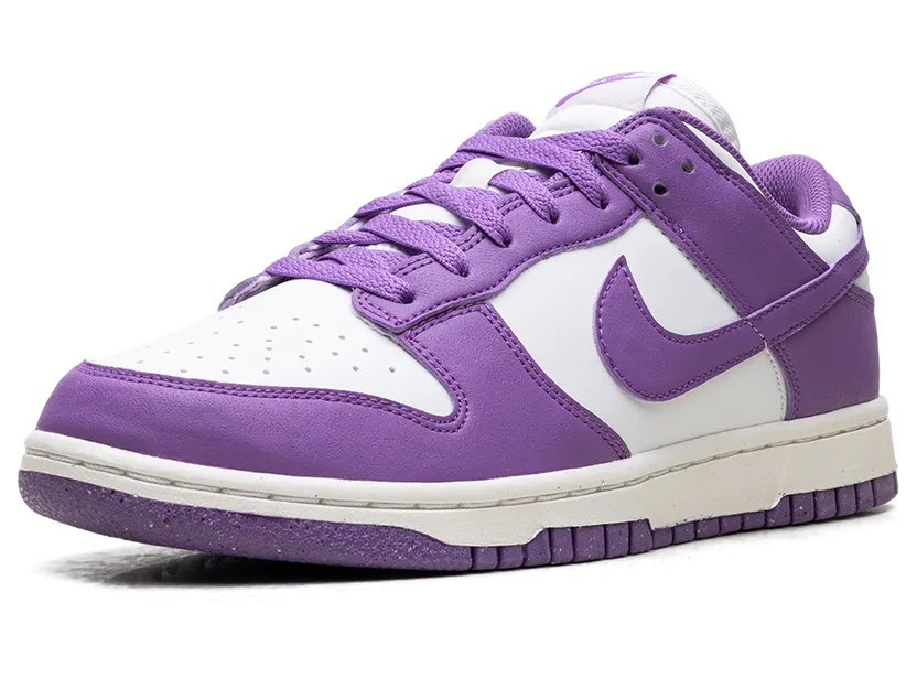 nike-dunk DD1873-108