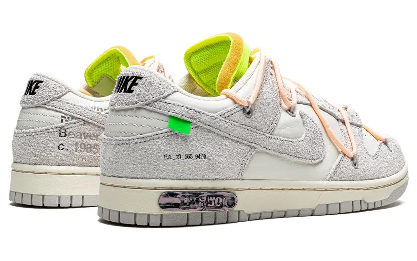 nike-dunk DJ0950-100