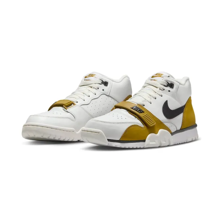 air-jordan-trainer-1 FQ8225-100