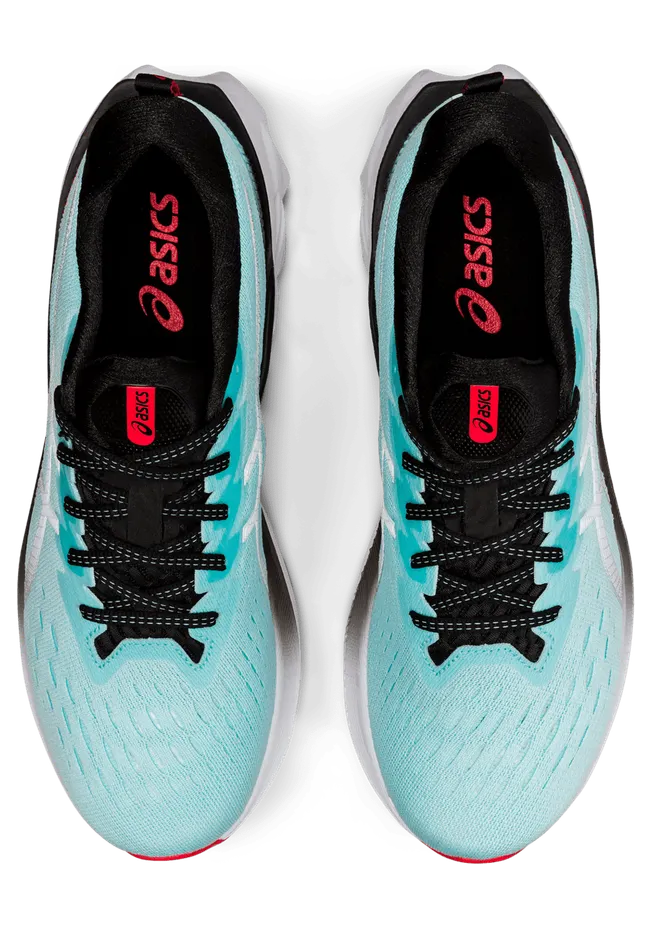 asics-novablast 1011B192.400