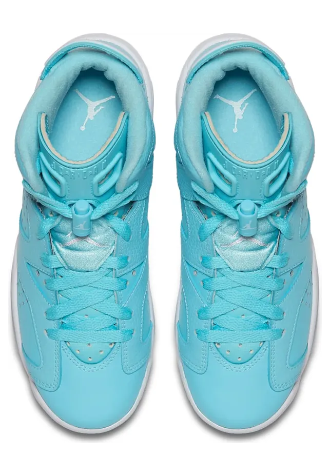 air-jordan-6 543390-407