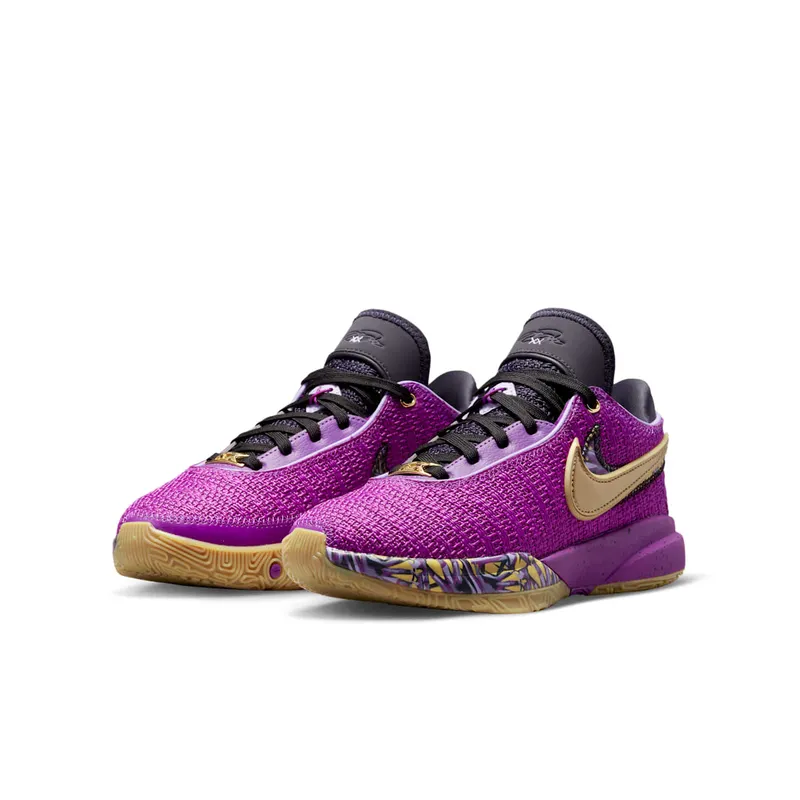 Nike LeBron 20 GS “Young Heirs” (FD0207-500)