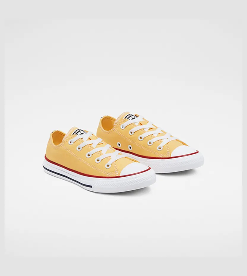 converse-chuck-taylor-all-star 666820C