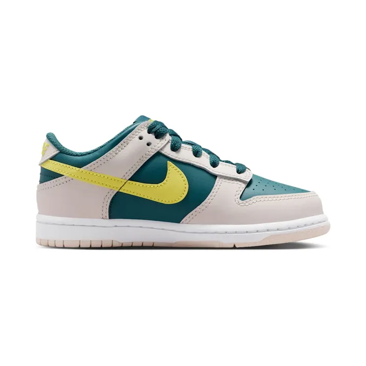 nike-dunk FB9108-303