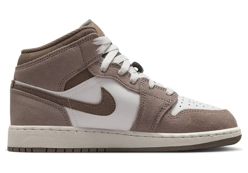 air-jordan-1 DQ8423-003