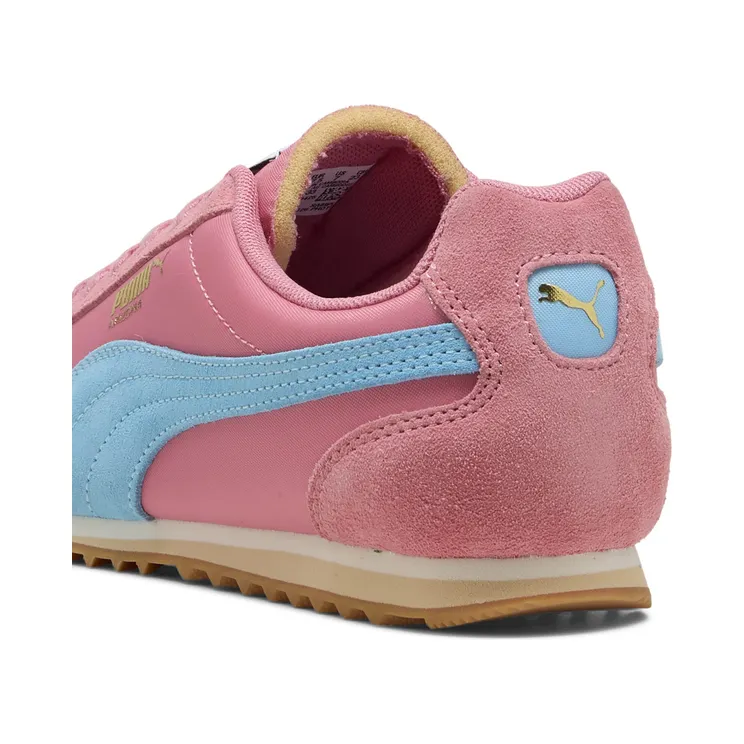 puma-arizona 398682_33