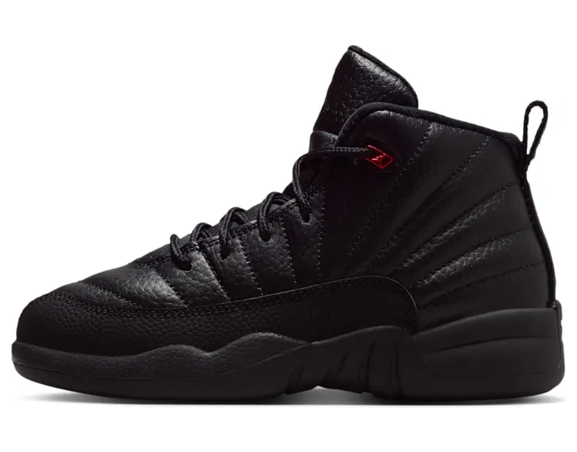 Air Jordan 12 151186-003