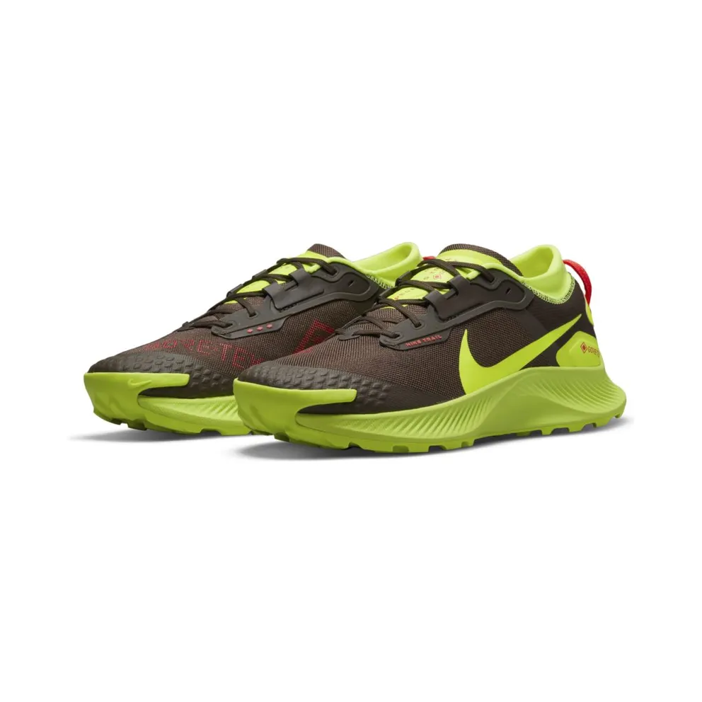 Nike Pegasus Trail 3 GORE-TEX Trail Running Brown (DO6728-200)