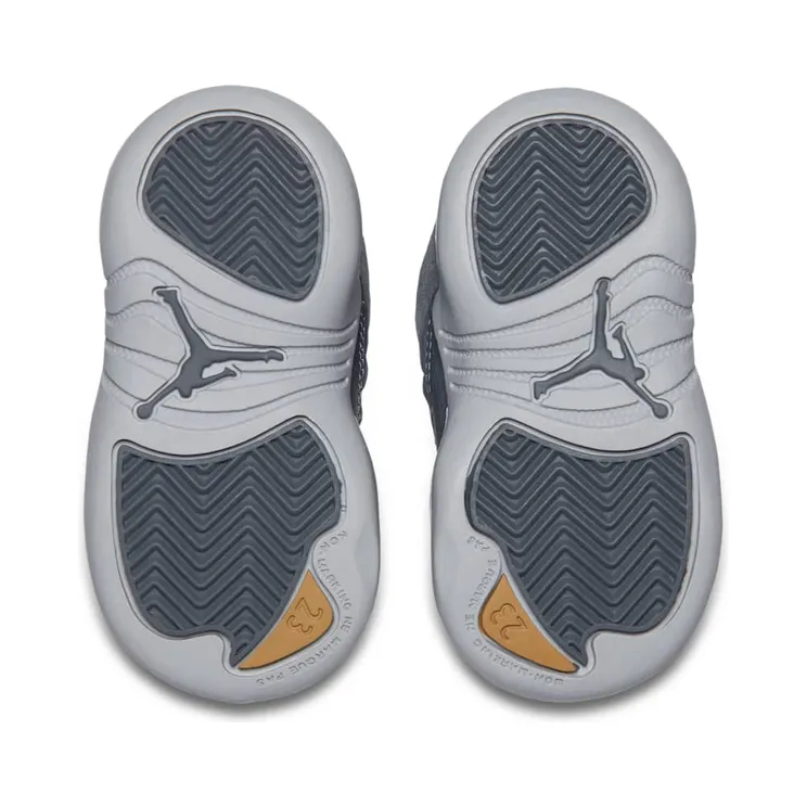 air-jordan-12 850000-005