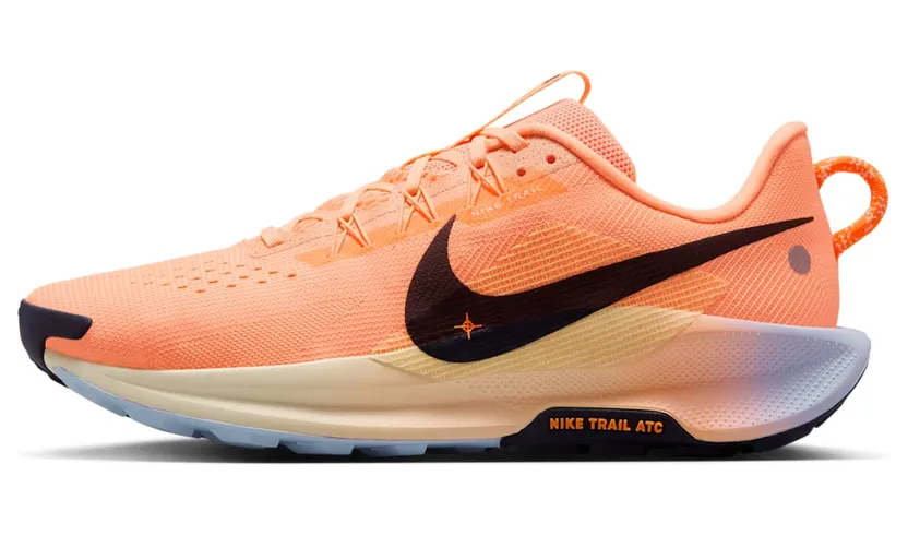 Nike Air Pegasus DV3864-800