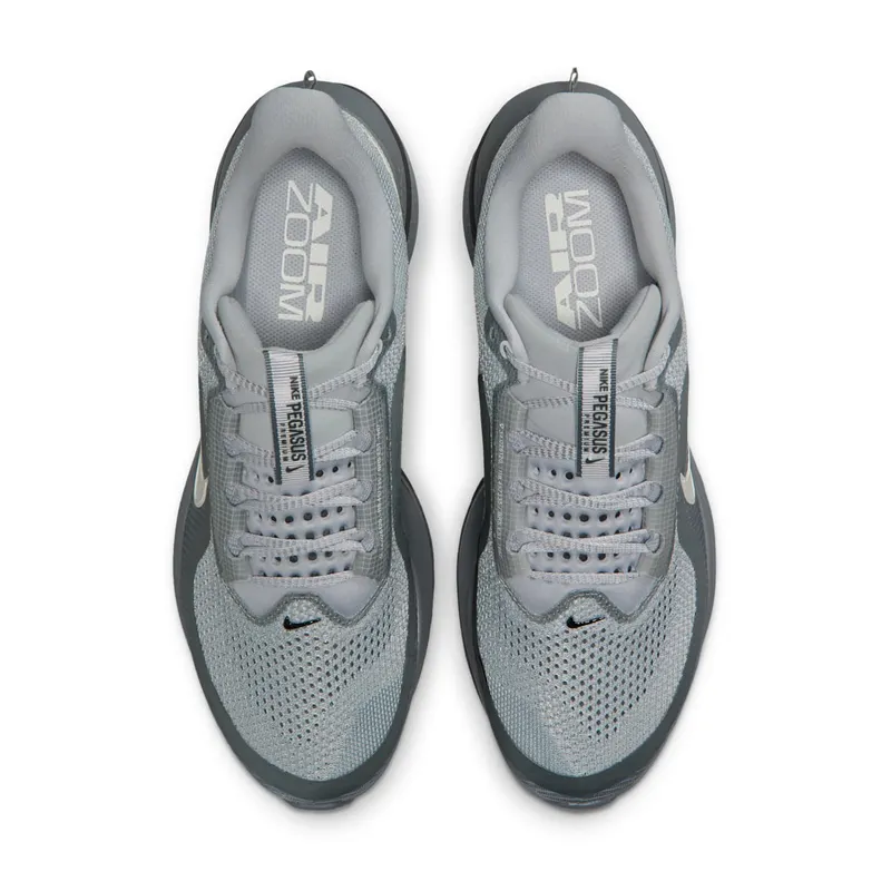 Nike Pegasus Premium Wolf Grey/Cool Grey/Anthracite (HQ2592-013)