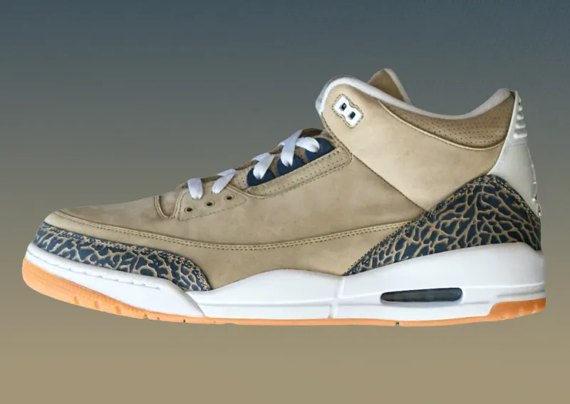 Air Jordan 3 (CT8532-203)