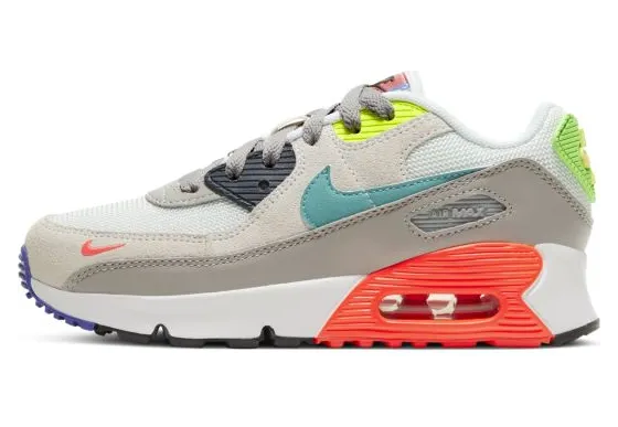 Nike Air Max 90 EOI Grijs (DA5716-001)