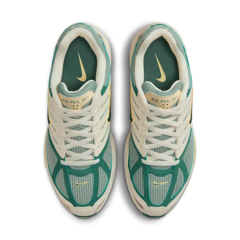 Nike Air Pegasus 2K5 “Bicoastal” (FZ2590-100)
