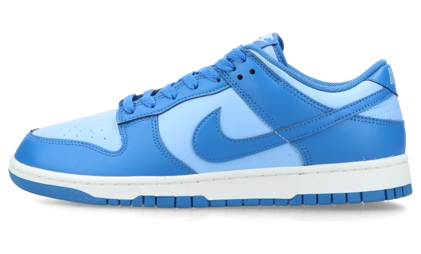nike-dunk HF5441-400