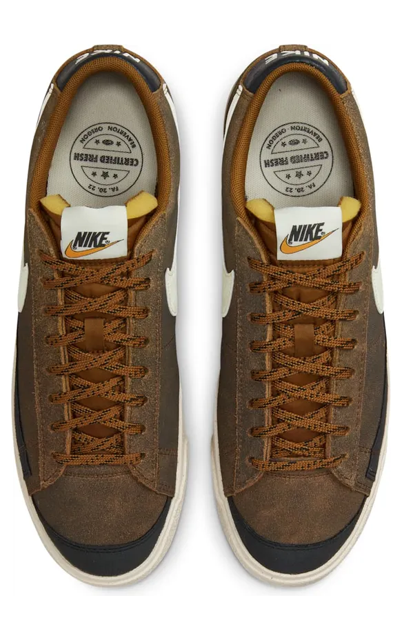 nike-blazer DX4433-200