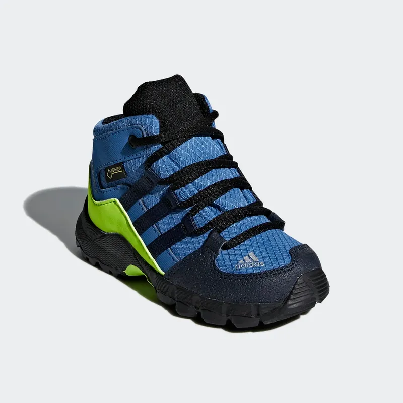 adidas Terrex Mid GTX Trace Royal / Collegiate Navy / Solar Slime (D97655)